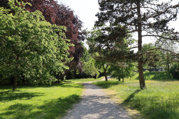 istock Saint Dizier - Jard park 1546291746