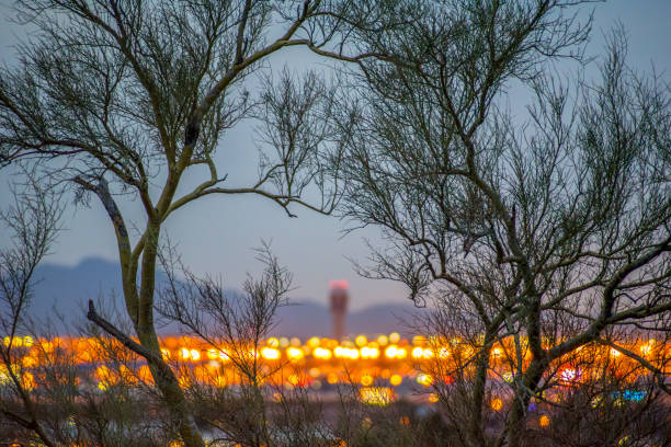 lotnisko sky harbor nocą (rozogniskowane) - clifford zdjęcia i obrazy z banku zdjęć