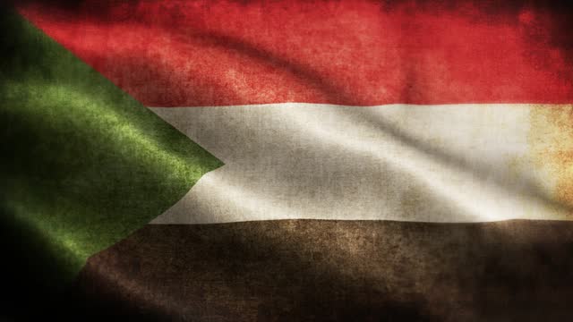 Closeup of grunge Sudan waving flag loopable stock video
