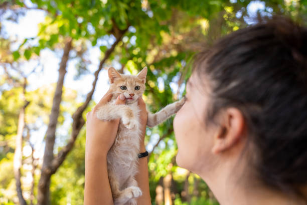 istock young woman holding kitten with her hands 1546461732