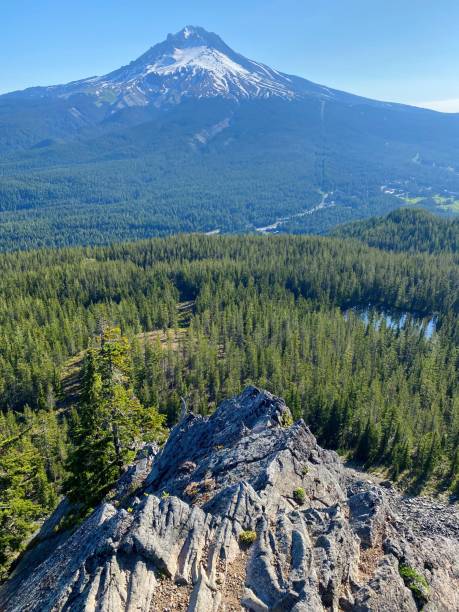 istock Mount Hood from Tom Dick and Harry Mountain 1546483162