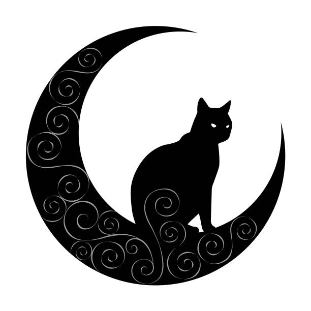 Black Cat in The Moon, Vector illustration.
