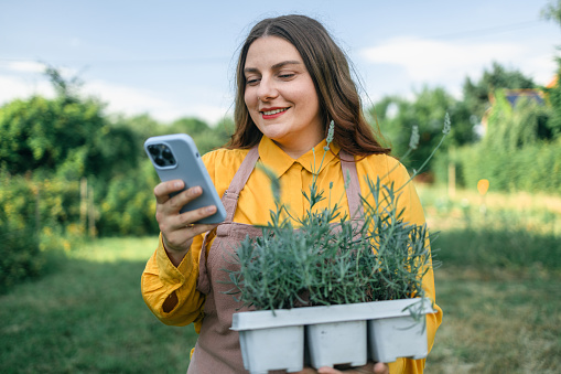 Shot of an happy female Caucasian farmer using a smartphone and holding a plastic pot of lavender flower plants to plant in the ground. Gardener using mobile phone