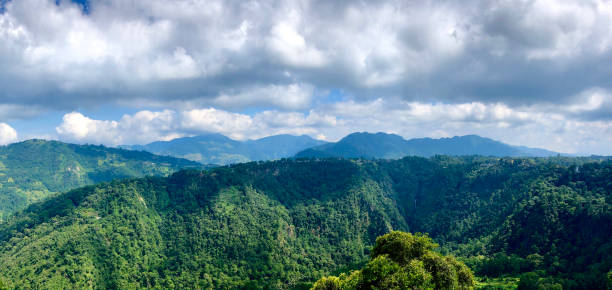 istock Panoramic View Of Trees And Mountains Against Sky 1546636824