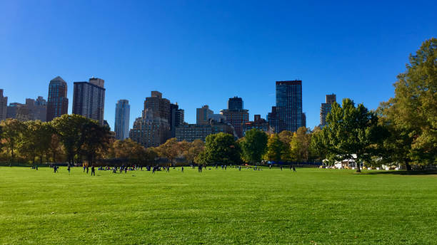 a grassy field with a city in the background