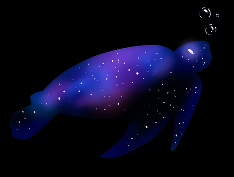illustration of a galaxy shaped like a turtle.