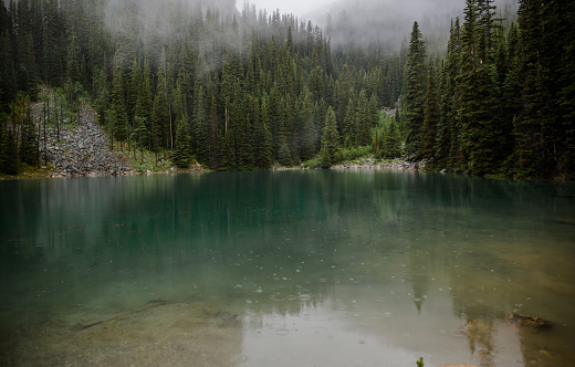 A ghostly mountain forest. Tranquil meditative misty landscape of glacial lake with pointed fir tree tops, reflection of fir tree silhouettes on calm alpine emerald lake. Lake Louise, Banff, Canada