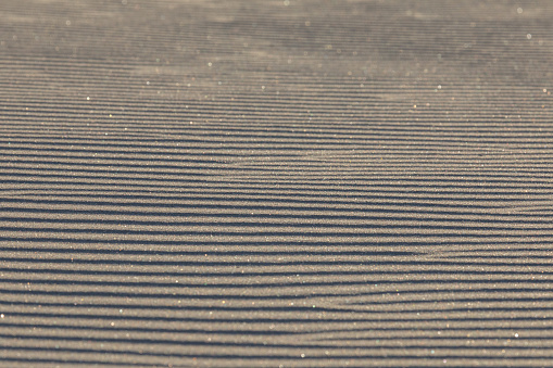 Ripples of wind swept sand, sparkling in the sun, shallow depth of field