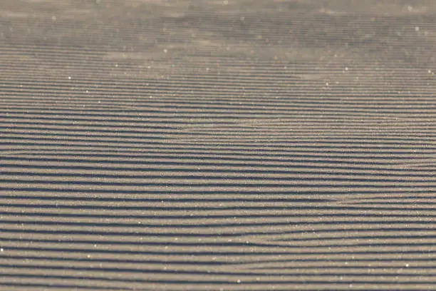 Ripples of wind swept sand, sparkling in the sun, shallow depth of field