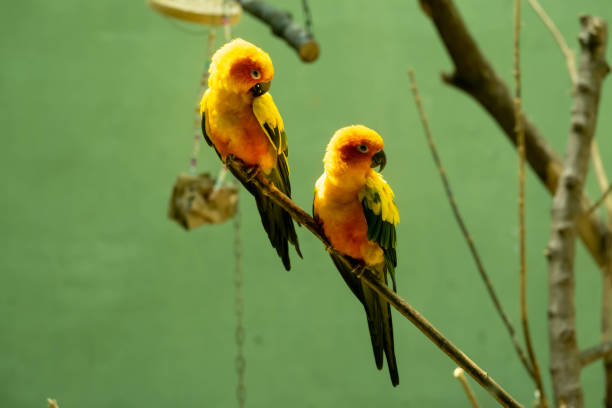 istock Cute animals in the zoo 1546890735
