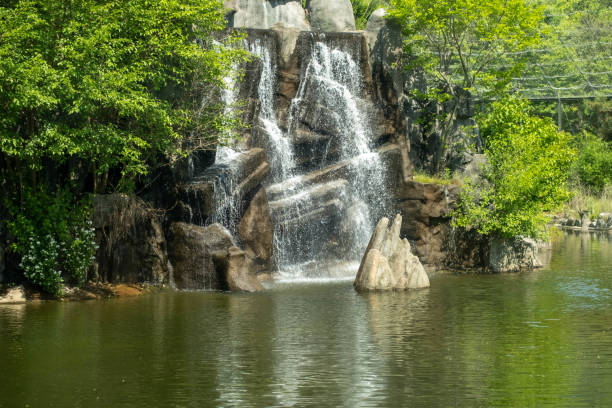 Rocks in small river of rainforest  in Sukothai province in Huai Tom subdistrict Tuek