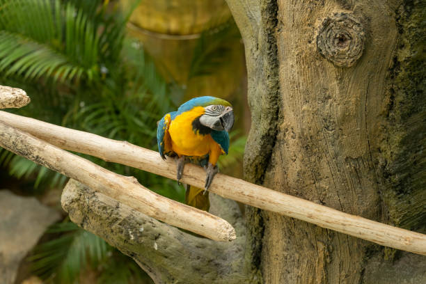 istock Cute animals in the zoo 1546892279