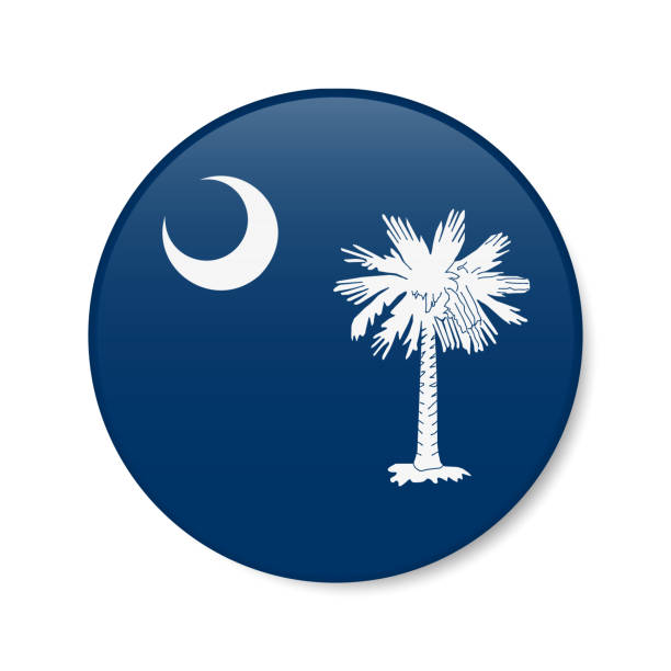 ilustrações, clipart, desenhos animados e ícones de ícone do botão do círculo da bandeira da carolina do sul, emblema redondo do estado dos eua. ilustração vetorial isolada realista 3d - south carolina flag push button brooch