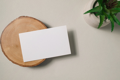White blank business card mockup on wooden coasters with cactus on white background. Mock up presentation. Flat lay, top view with copy space. Minimal modern style.