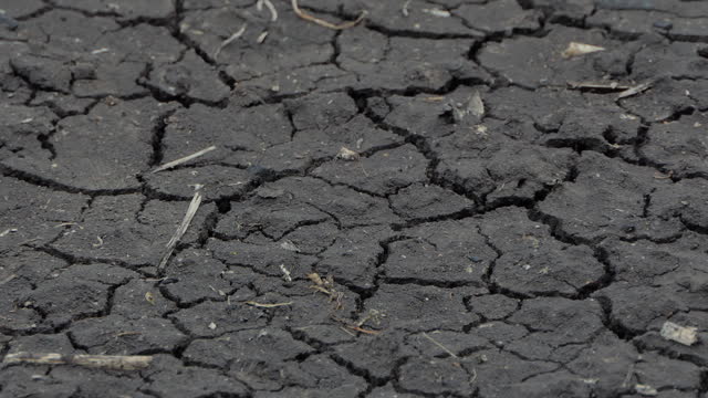 Crack Soil is effect of drought,