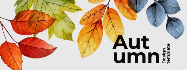 Vector illustration of Autumn seasonal background with border made of falling autumn golden, red, orange and green colored leaves with overlay effect on white background with place for text. Trendy Fall vector illustration.