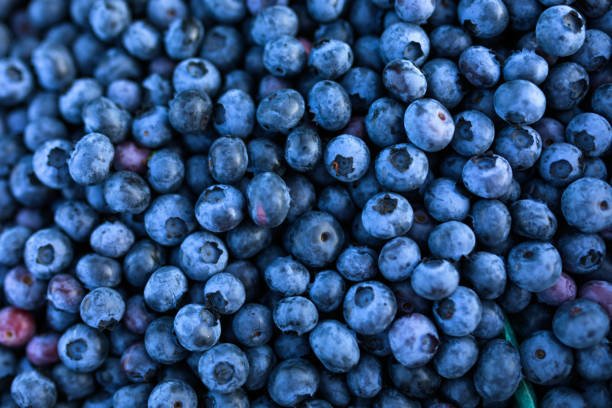 Bright and healthy blueberries in a container, ready to eat.