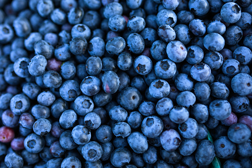 Bright and healthy blueberries in a container, ready to eat.
