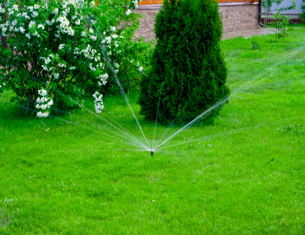 istock Sammer in the garden. Automatic watering watering green lawn 1547305429