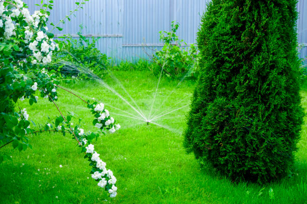 istock Sammer in the garden. Automatic watering watering green lawn 1547306485