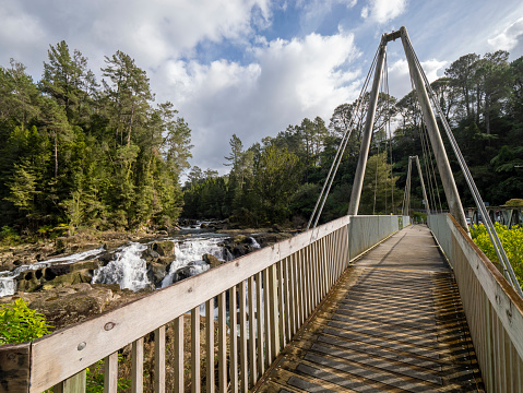 Foot bridge near McLaren Waterfalls in Tauranga