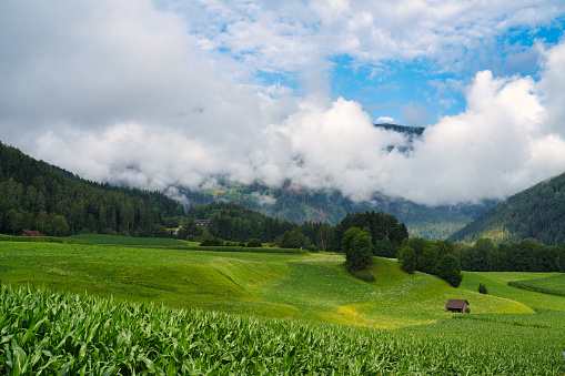 Panoramic view of Alps - Trentino Alto Adige