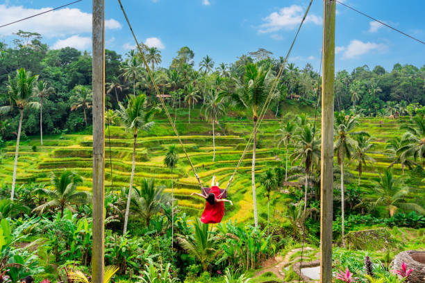 Young female tourist in red dress enjoying the Bali swing at tegalalang rice terrace in Bali, Indonesia stock photo