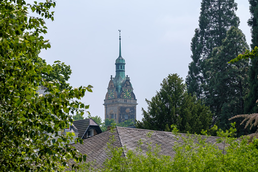 Church towers through trees