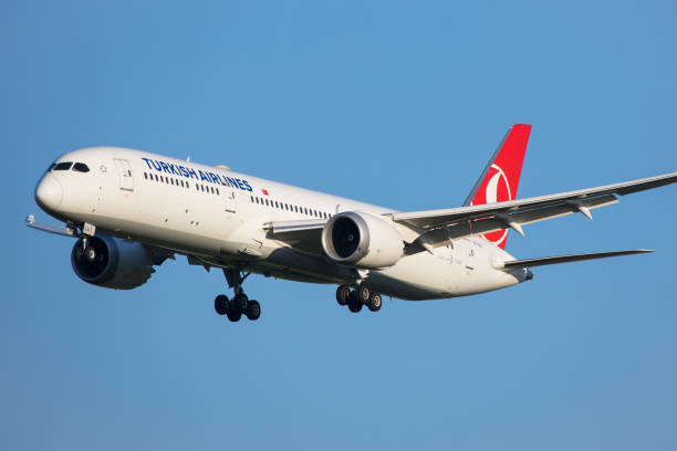 터키항공의 현대 장거리 비행기 보잉 787 드림라이너가 맑고 푸른 하늘을 배경으로 착륙 - boeing 787 air vehicle airplane 뉴스 사진 이미지