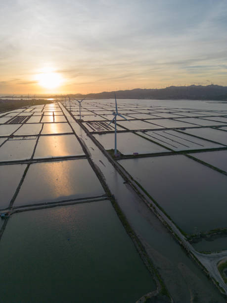 istock Fish farm at sunrise 1547747201