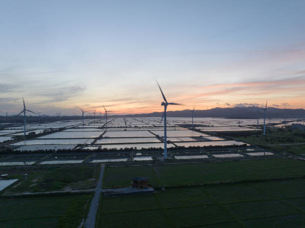 istock Wind farms at dawn 1547748418
