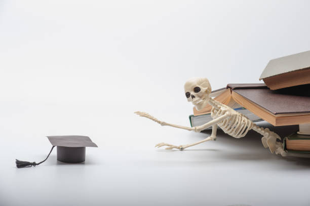 a helpless toy skeleton lies under a pile of textbooks