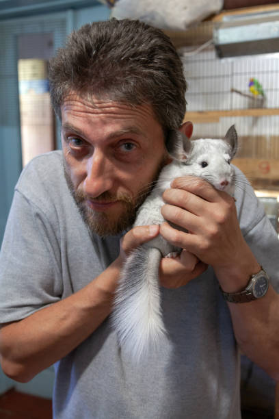 istock Man with a beard holds white chinchilla in his arms 1547764337