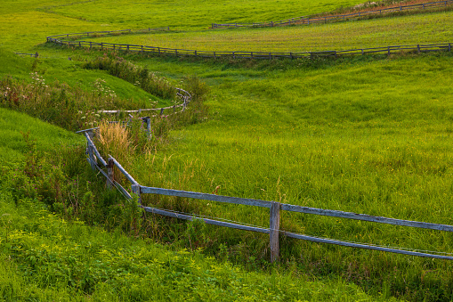 A view of Kashubian meadows. Summer season. Kashubia, Poland.