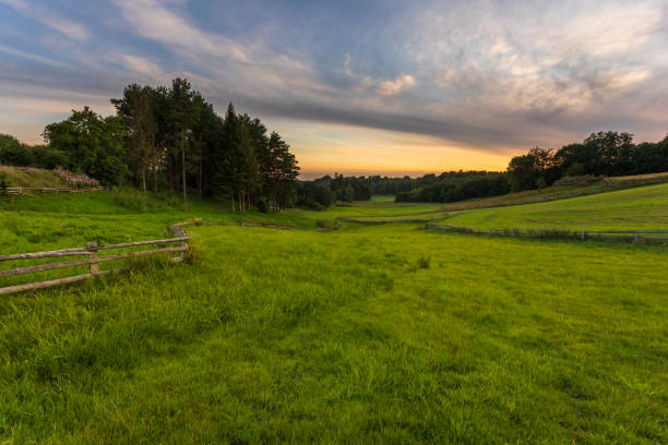 istock A view of Kashubian meadows. Kashubia, Poland. 1547809326
