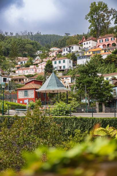 istock a hillside that has many houses on it and there is some bushes growing around 1547823083