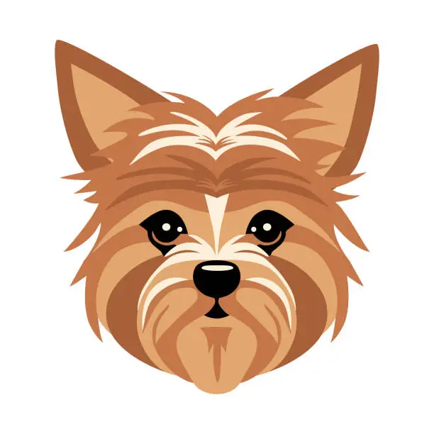 Vector illustration of Cartoon Hand Drawn Yorkshire Terrier Dog Portrait