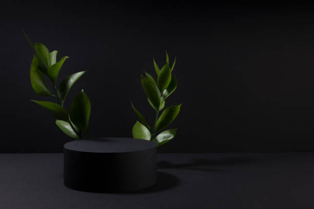 istock Black abstract stage with one circle podium mockup with bright tropical green leaves, template for presentation cosmetic products, goods, design, advertising, sale, in modern black friday style. 1547890527