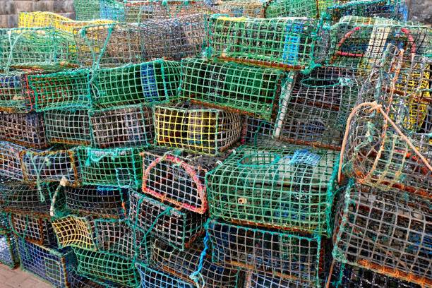 istock Fish traps in Cascais, Portugal 1547897703