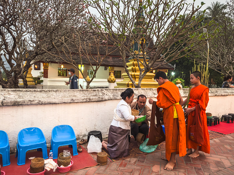 Monks with alms bowl at the traditional sacred alms-giving ceremony. Local people and tourists put food offerings into Buddhist monks' bowls at Luang Prabang, Laos. Vientiane, Laos - March 04, 2023.