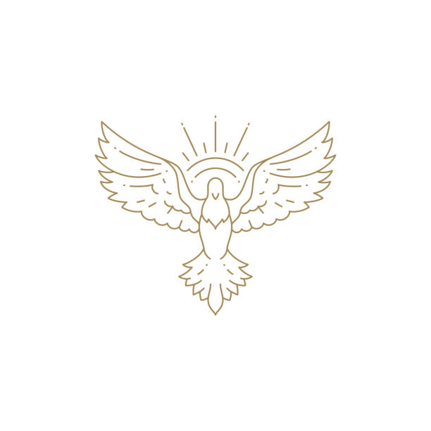 Minimalist flying pigeon with open wings at natural sun light beams line art icon vector illustration. Monochrome flight wild bird symbol of freedom inspiration life balance. Graceful greeting dove