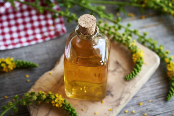 istock Herbal tincture with fresh agrimony flowers on a table 1547901839