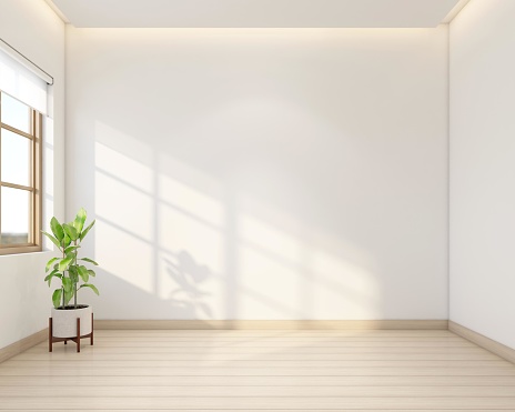 Empty room decorated with white wall and wood floor, indoor plant. 3d rendering
