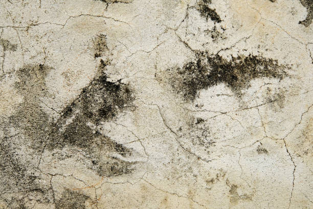 istock abstract form in grunge wall 1547947428