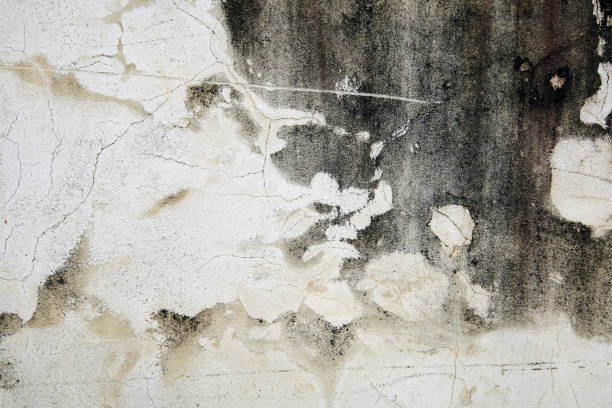istock abstract form in grunge wall 1547947445
