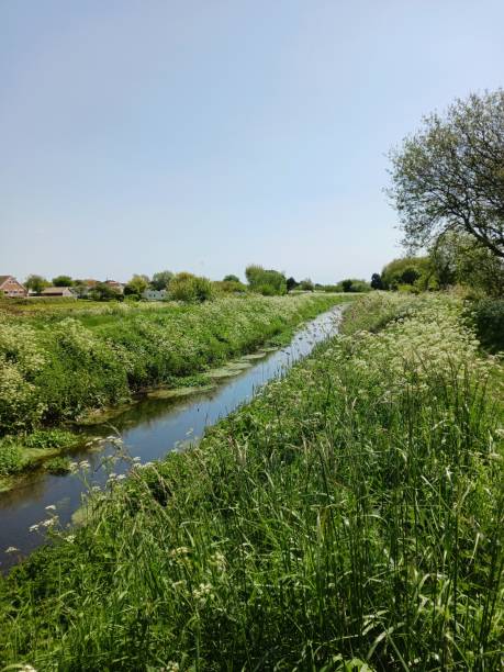 istock Small stream in English countryside in spring early summer 1547963880
