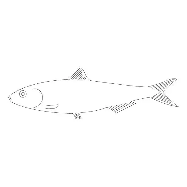 Vector illustration of sardine icon vector