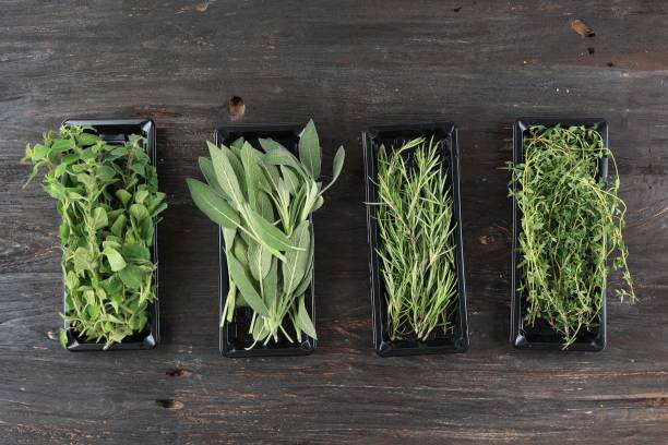 Store Bought Various Herbs, Sage, Rosemary, Oregano, and Thyme. Store Bought Various Herbs, Sage, Rosemary, Oregano, and Thyme. Top View on Wooden Table herb crate thyme sage stock pictures, royalty-free photos & images