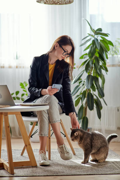 istock Young woman using laptop and mobile phone stroking a pet cat at workplace at home, remote work 1548103699