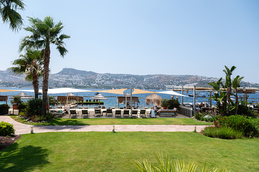 Palm trees and the beach on a sunny day in Bodrum